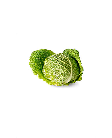 متن جایگزین