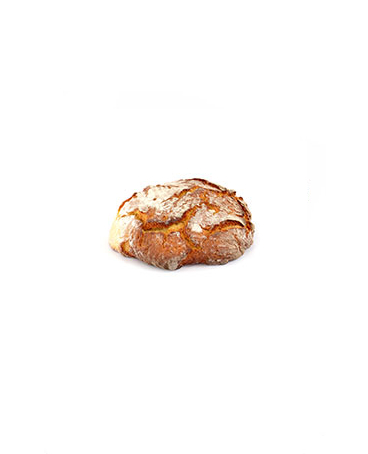 متن جایگزین