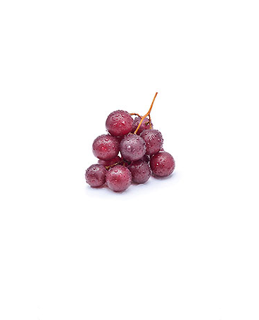 متن جایگزین